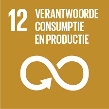 SDG12 verantwoorde consumptie en productie