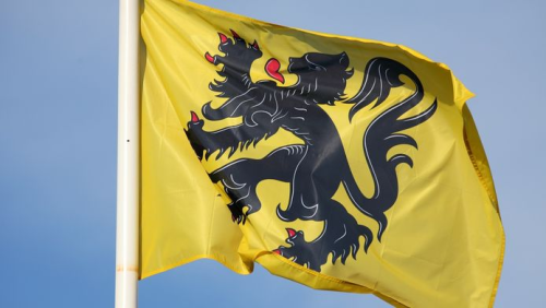 Vlag (Vlaanderen)