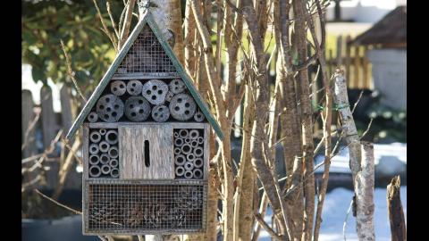 Kinderworkshop: maak jouw eigen insectenhotel © Afbeelding van Manfred Antranias Zimmer via Pixabay