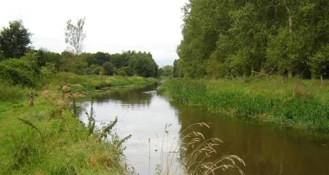 Ommetje Herentals (Herfst) © Eddy Vercammen