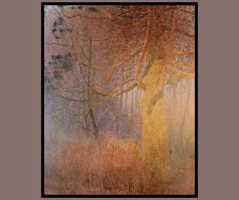 De vier seizoenen: jaargetijden in muziek, schilderkunst en poëzie © onbekend