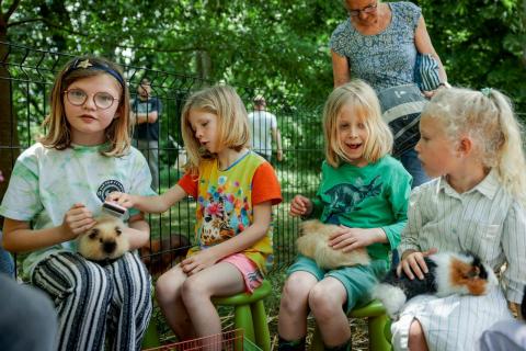 Dag van de Landbouw Herentals: Markt, Boerderijdieren & Gezinsplezier! © Herentalse marktvereniging