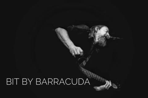 Terrasconcert: Bit By Barracuda © peter goossens