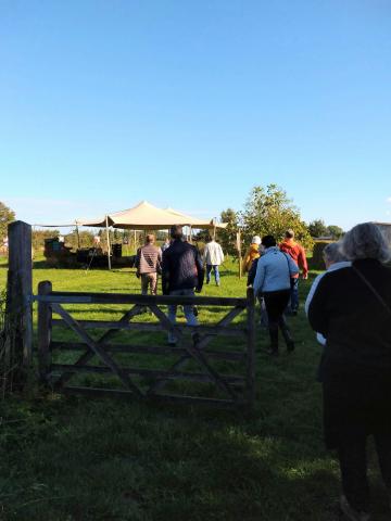 Korte Ketenmarkje op de saffraanboerderij © Belgische Saffraan