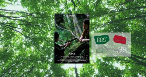 Film in het Bos – Here – Herentals © BOS+