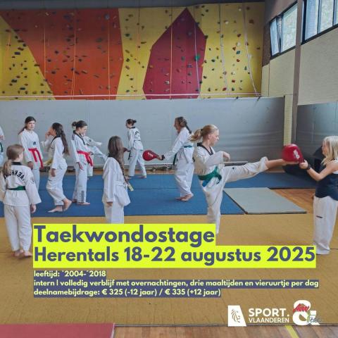 Taekwondostage zomervakantie © KAVVV & FEDES