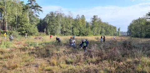 Beheerwerken Heiberg © werkgroep isis vzw