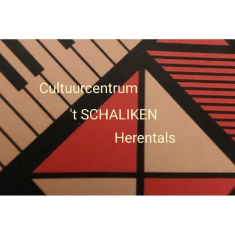 Theatervoorstelling CC 't Schaliken: "Schopenhauer" © davidsfondsevenementen