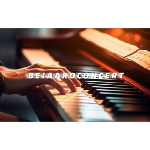 Beiaardconcert in Herentals. 10 juli 2025. © davidsfondsevenementen
