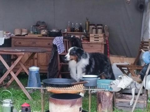 Re-enactment Summer Trade © The Old Farm