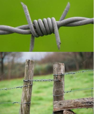 Beheerwerken Vuilvoort © Natuurpunt