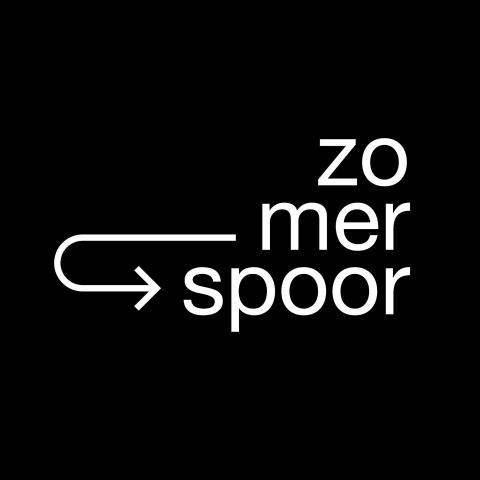 Donderse Dagen wijkt uit - Daan Cavens en Michael Asnot en band © Zomerspoor