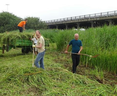 Beheerwerken Vuilvoort © Natuurpunt