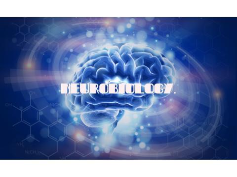 Lezing: "Naar een wereld zonder Parkinson". © davidsfondsevenementen
