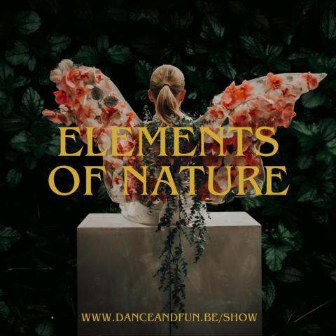 Elements of Nature & Elemental (SHOW 6) © Dance & Fun VZW