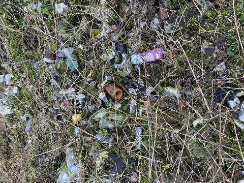 Opruimen afval Vuilvoort © Dirk Wouters