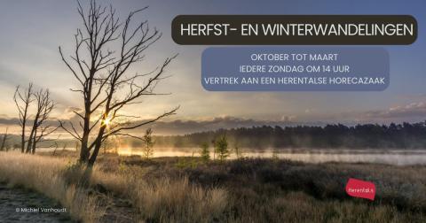 Herfst- en winterwandeling: De Boskantien © Michiel Vanhoudt