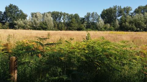 Natuurwandeling voor scholen © Stadsbestuur Herentals