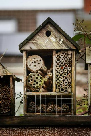 Kinder-&(groot)ouder workshop: Maak je eigen insectenhotel © Ferm Ladies Noorderwijk