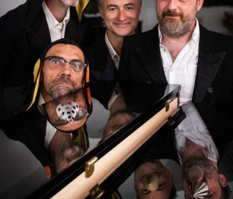 Lodewijk de koningspinguïn © Peter Claeys