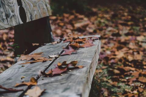 Rouwzorgtraject. Je partner is overleden. Hoe ga je verder met dit verlies? © pexels