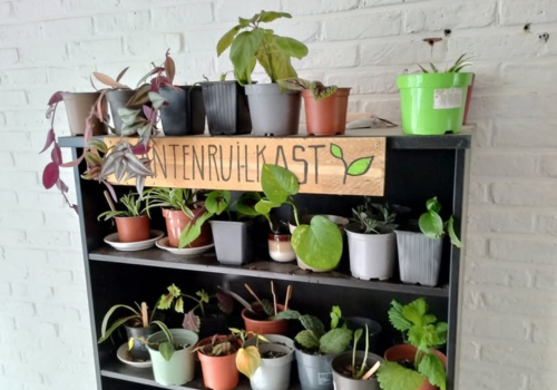 Plantenruilkast