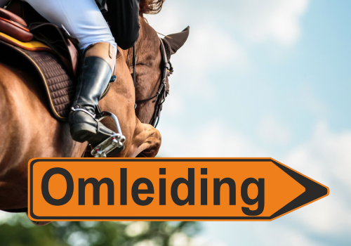 Omleiding