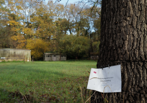 Bosuitbreidingsgebied