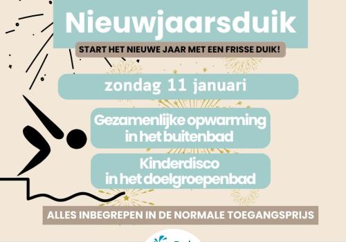 Nieuwjaarsduik in Netepark