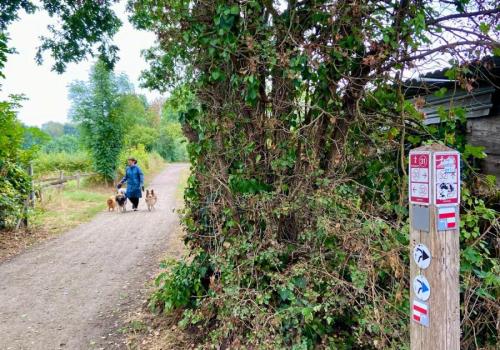 Wandelknooppunten krijgen update