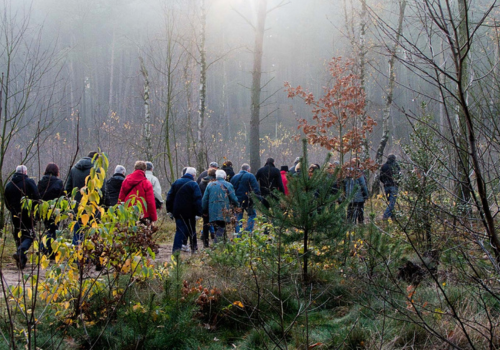 Winterwandelingen