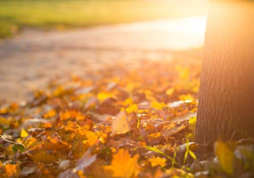 Herfst