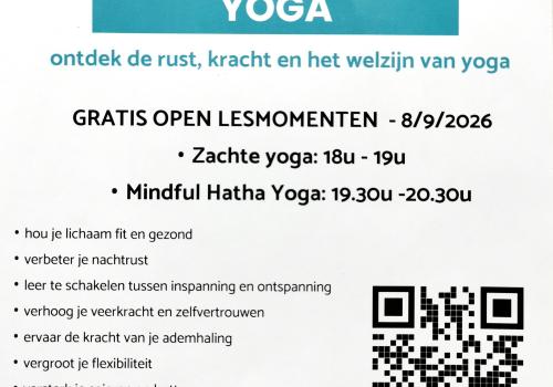 Yoga : Zachte Yoga (18u - 19u)   -  Mindful Hatha Yoga (19.30u - 21u) © vzw bee you