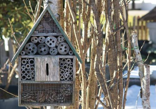 Kinderworkshop: maak jouw eigen insectenhotel © Afbeelding van Manfred Antranias Zimmer via Pixabay