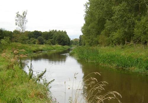 Ommetje Herentals (Herfst) © Eddy Vercammen