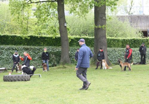 Hondensport Wedstrijd Gehoorzaamheid te Herentals © De dappere vriend vzw