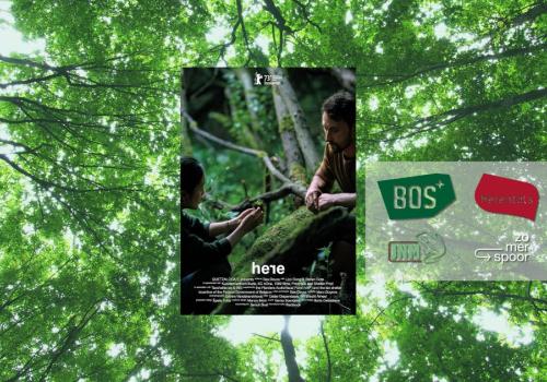 Film in het Bos – Here – Herentals © BOS+