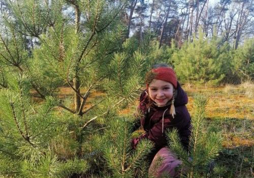 Zaag je eigen kerstboom © BC Landschap De Liereman
