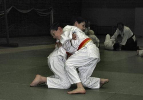 Jujutsu voor jongeren tussen 7 en 14 jaar. © Makoto Jutsu Do