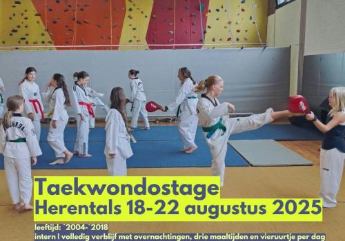 Taekwondostage zomervakantie © KAVVV & FEDES