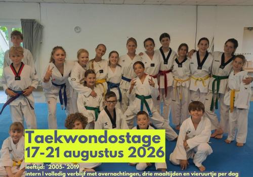 Taekwondostage zomervakantie © KAVVV & FEDES