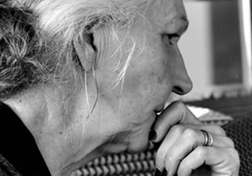 Lezing " goed leven met dementie " door Carla Molenberghs van Huis Perrekes © cv