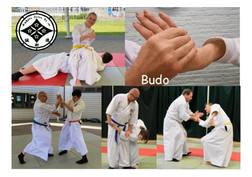 Gratis Jujutsu voor iedereen. © Makoto Jutsu Do vzw