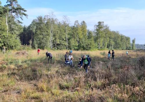 Beheerwerken Heiberg © werkgroep isis vzw