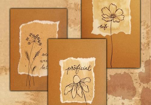 workshop: botanisch tekenen © unik grobbendonk