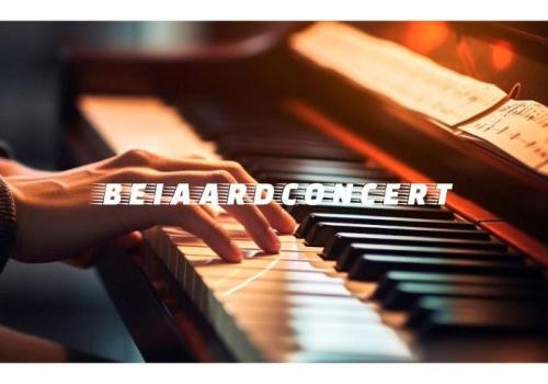 Beiaardconcert in Herentals. 10 juli 2025. © davidsfondsevenementen