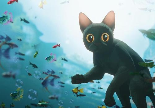 Film -  Flow © Flow