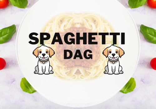 Spaghetti avond De dappere vriend © De dappere vriend