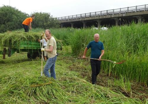 Beheerwerken Vuilvoort © Natuurpunt