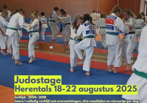 Judostage zomervakantie © KAVVV & FEDES